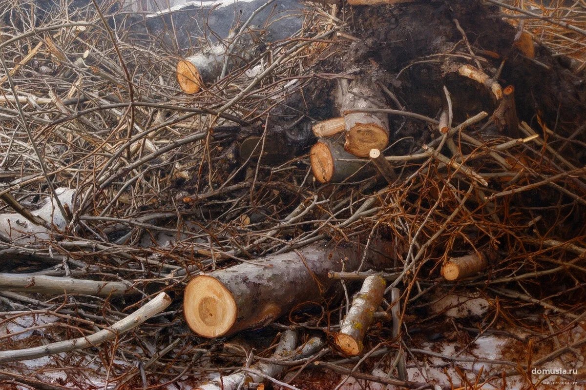 В Калуге на улице Чичерина начали массово убирать деревья: власти объяснили риск