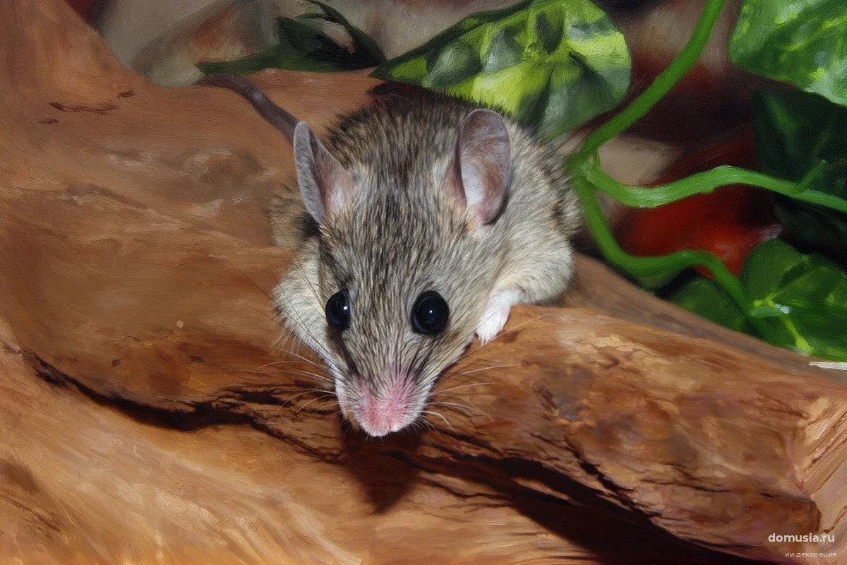 Роспотребнадзор раскрыл, какой именно зверь на даче несет смертельную угрозу в 2025 году