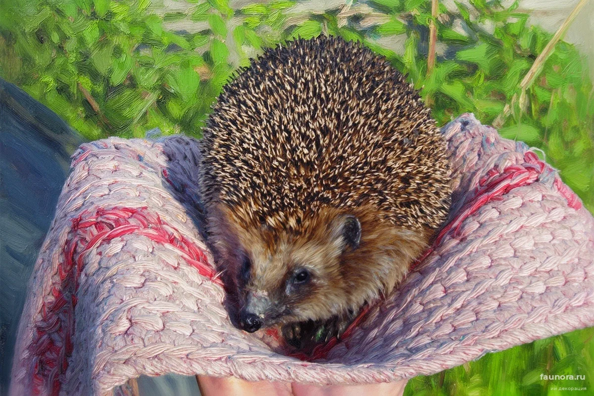 Смертельный деликатес: почему привычное угощение убивает ежей на вашей даче