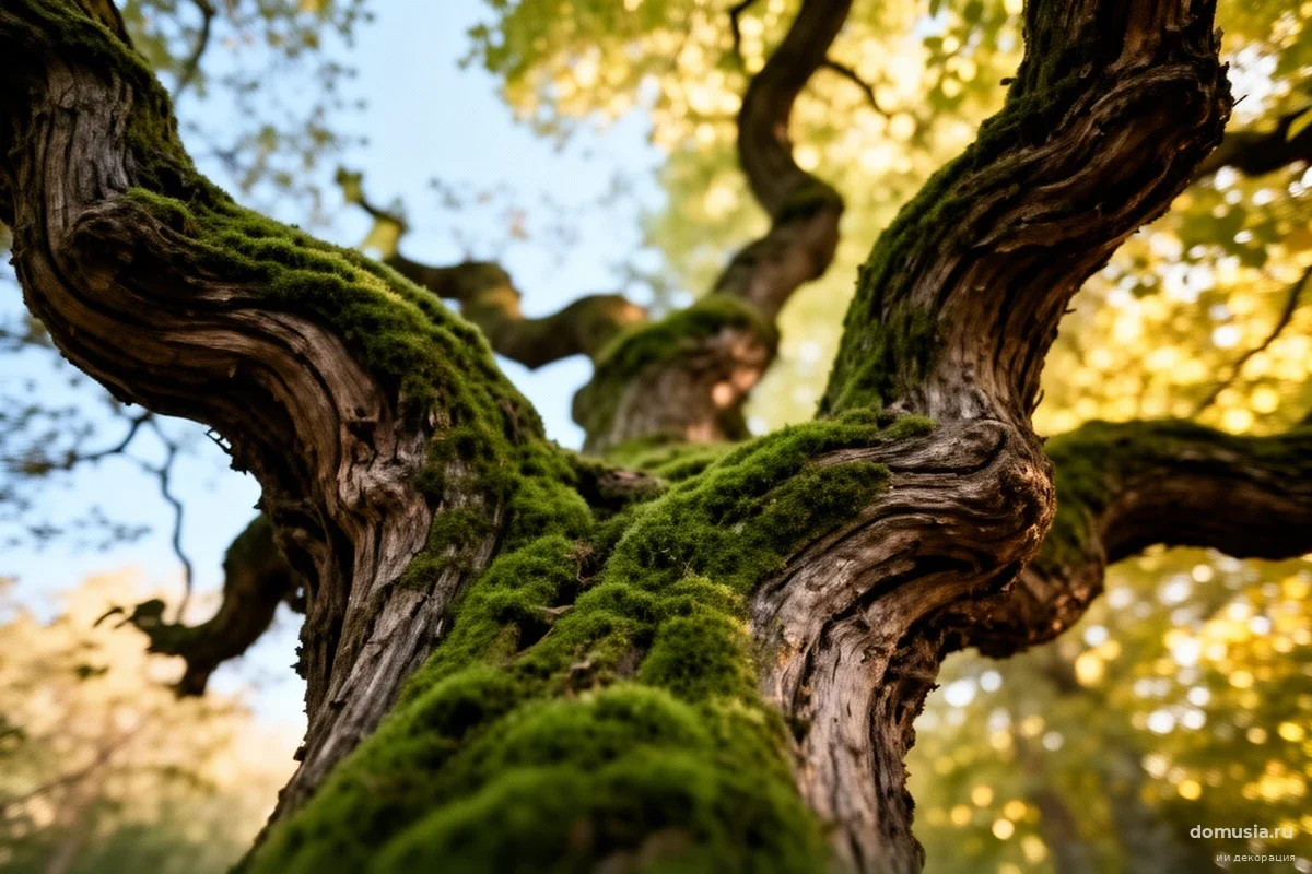 Депутат Госдумы объяснил, почему обычное удаление мха с участка не поможет